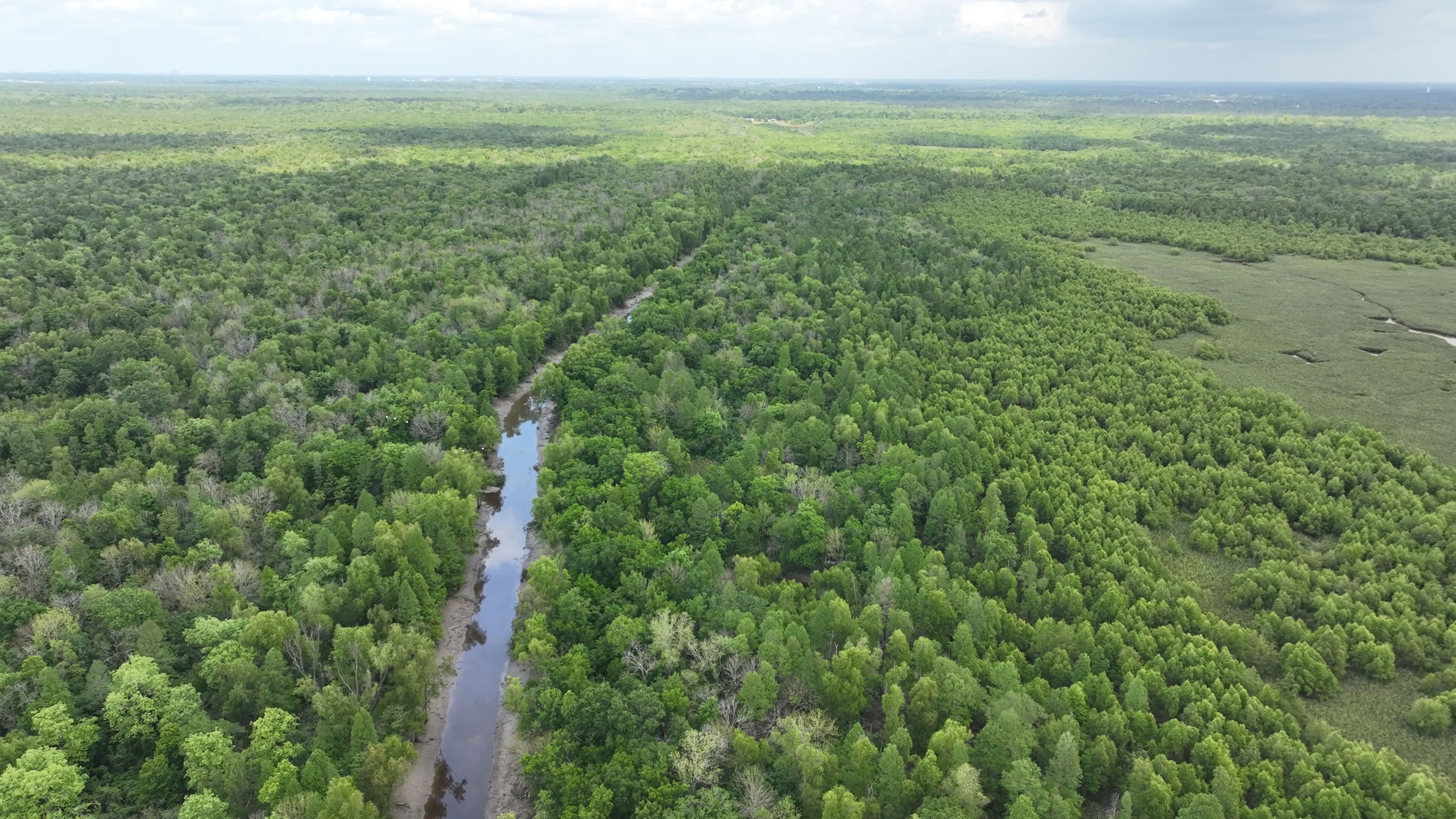 Listing Photo: Louisiana Iberville Parish St. Gabriel